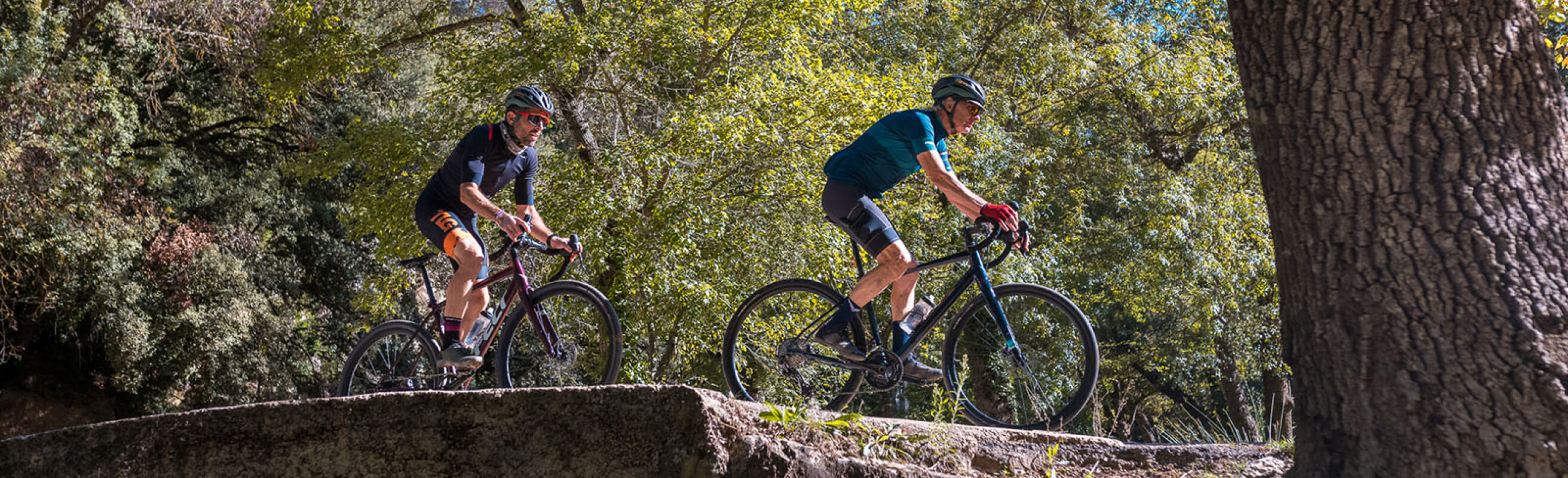 Mountain bike : a ruota libera!