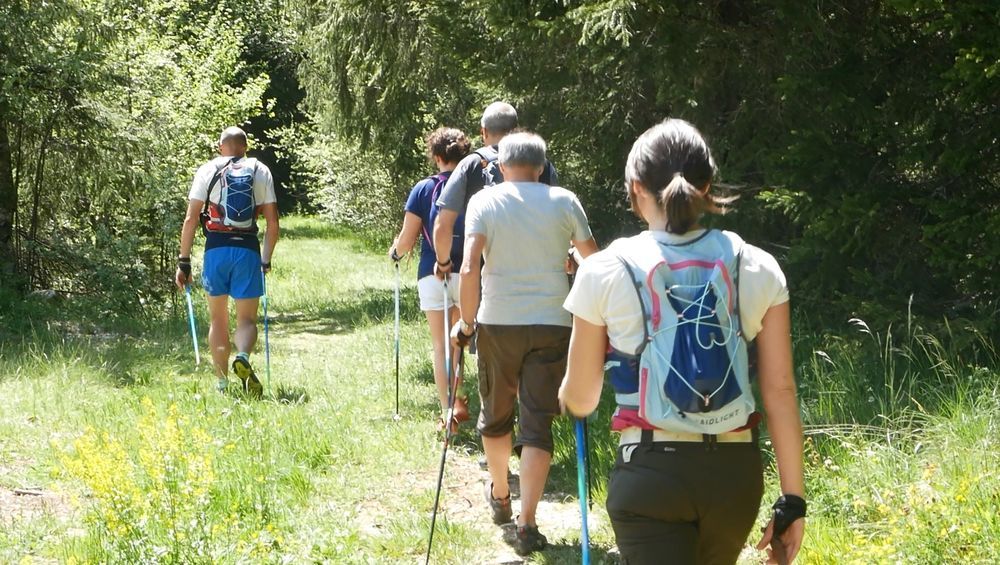 Stage - Marche nordique dans les Montagnes du Jura