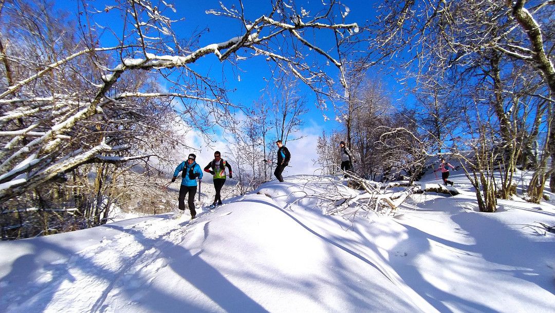 Coaching trail blanc Vercors