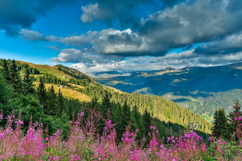 destinationImage