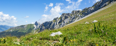 Vercors  Villard de Lans