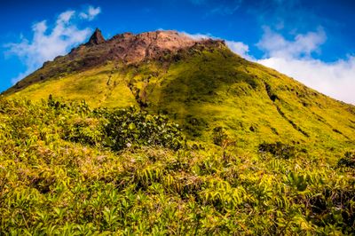 Les Iles de Guadeloupe