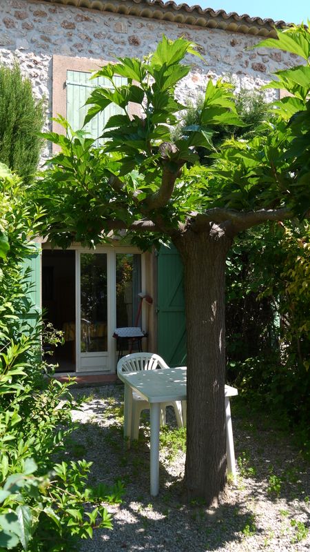 The little garden of the lake