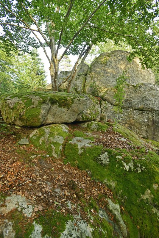 Sites préhistoriques