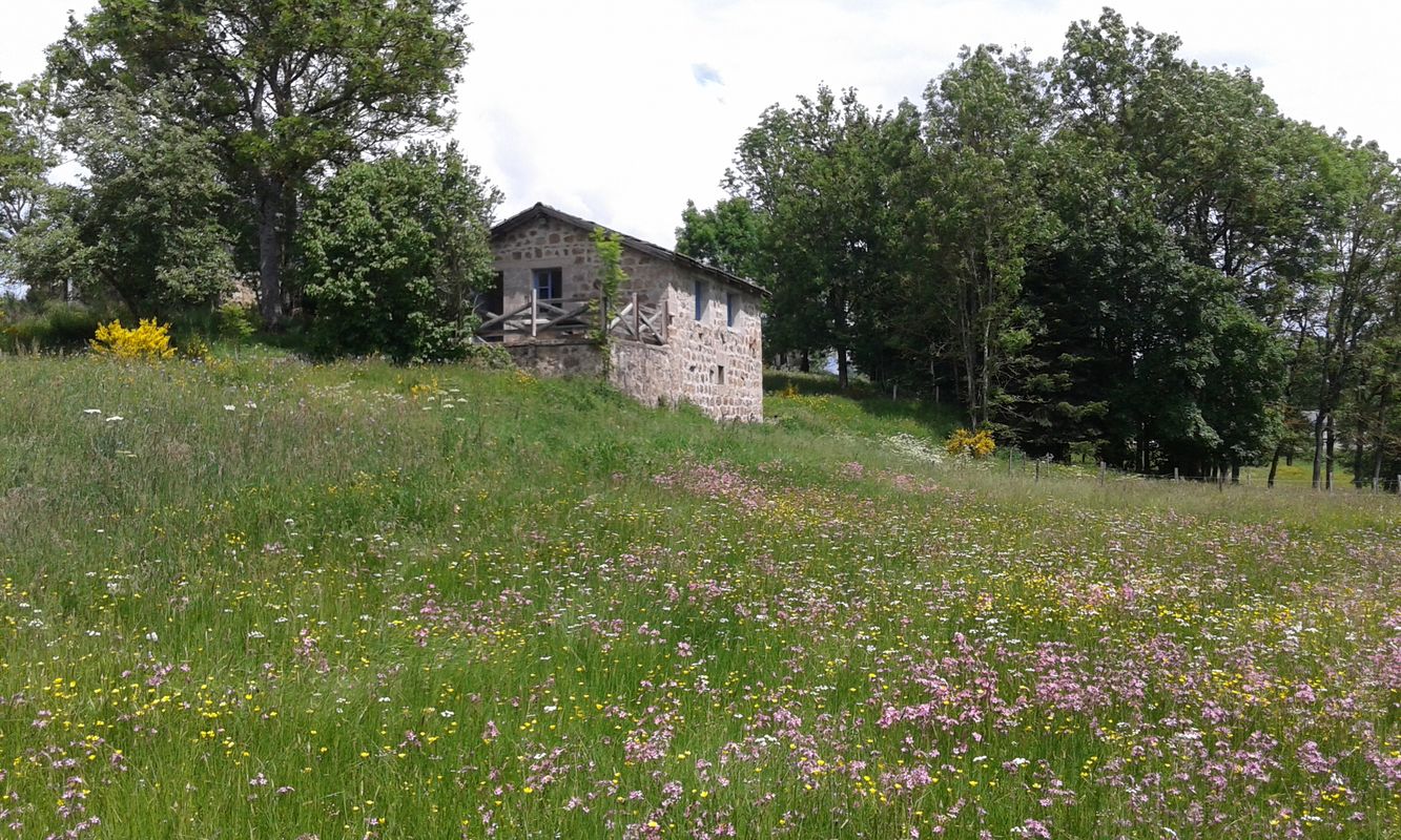 Le Petit Moulin