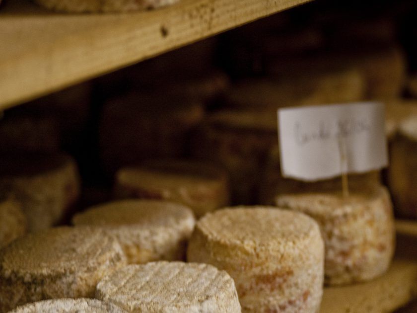 Gaec des Blancs Chardons