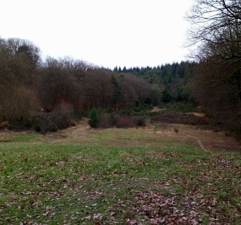 Boucle Trail - Champ de Tir Ecouves