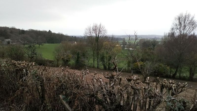 Chemin des Lisières