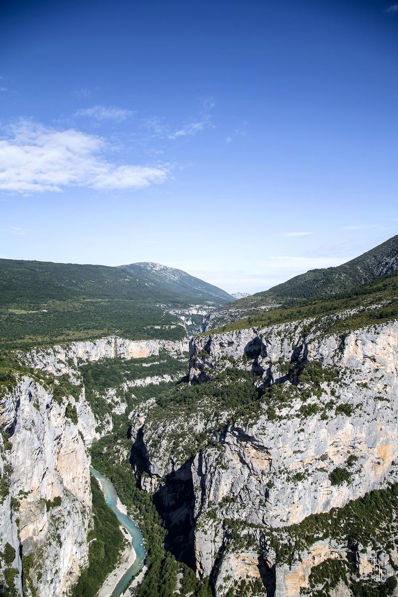 La petite forêt