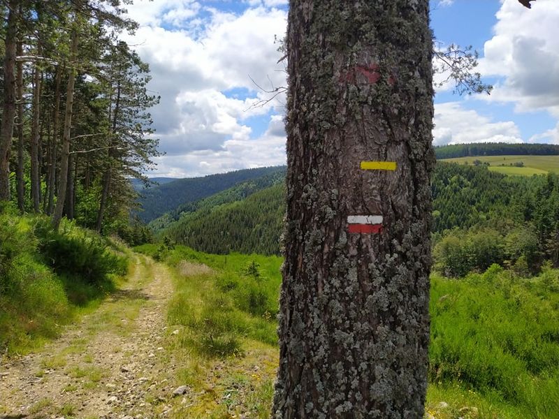 Boucle Trail St Bonnet le Froid