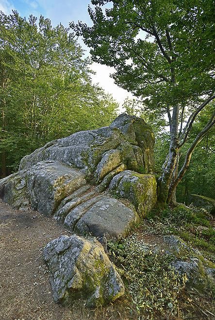 La Roche Druidique