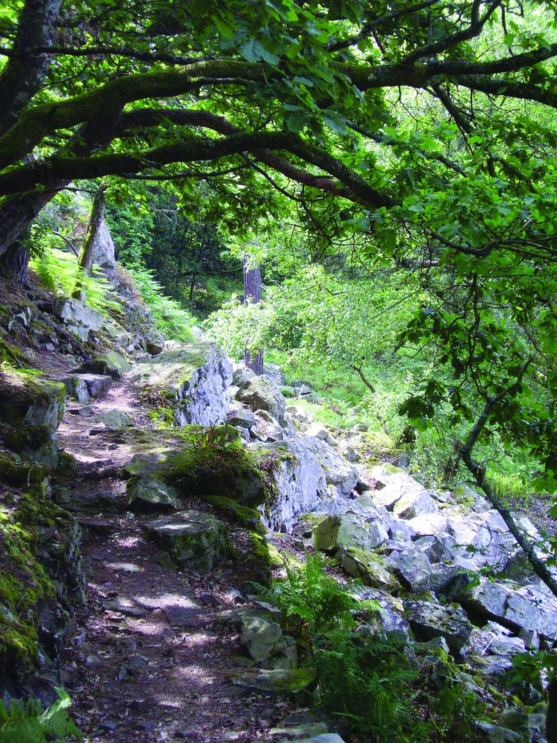 Gorges de Villiers