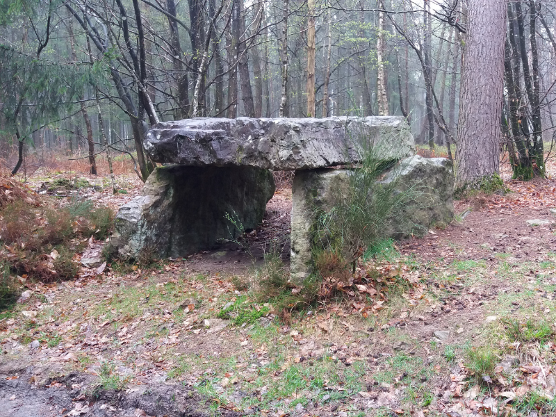 Dolmen " Le lit de la Gione"