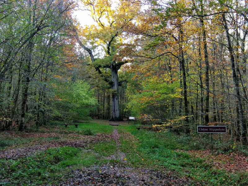 Le Grand Tour d’Andaine