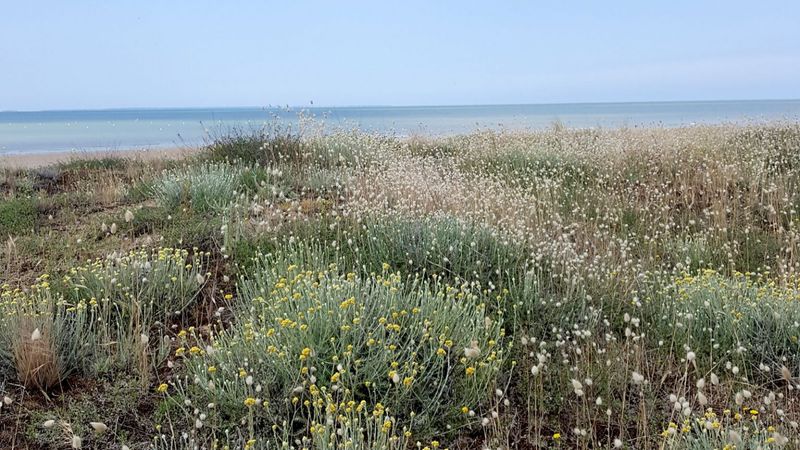 Sentier de la dune au marais