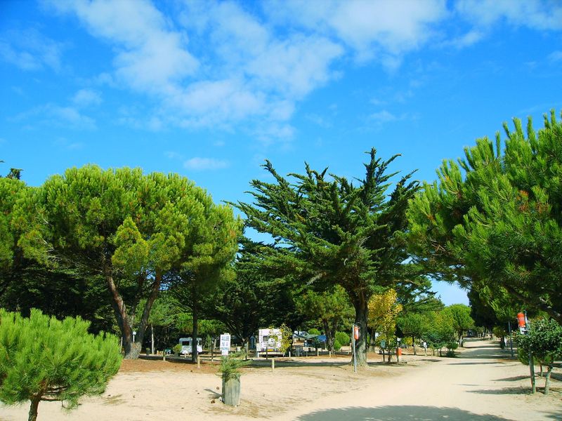 Camping municipal l'Orgatte