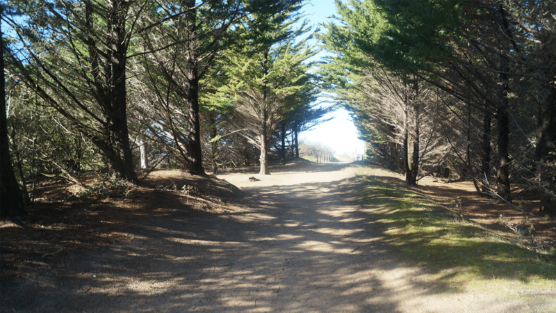 Sentier 1, 2, 3, allons dans les bois