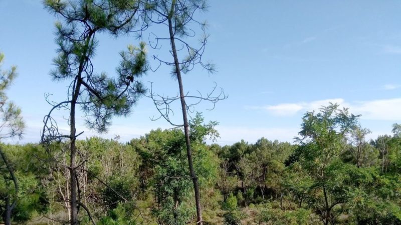 Sentier de la grainette