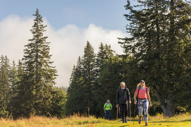 Marche nordique Corrençonnaise 16km - 2023