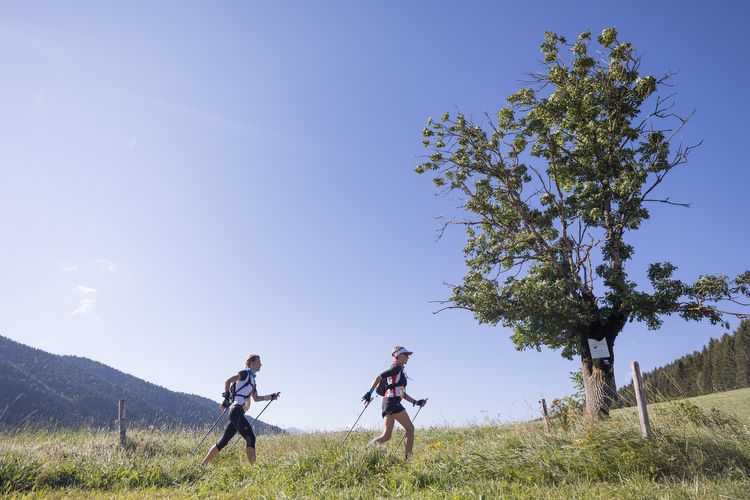 Marche nordique Villardienne 13km - 2023