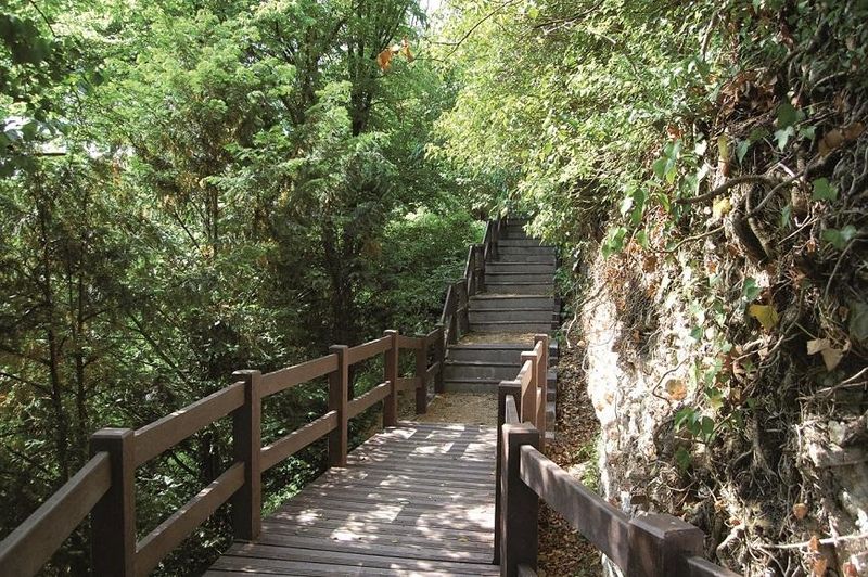 Ste Ménéhould côte longue