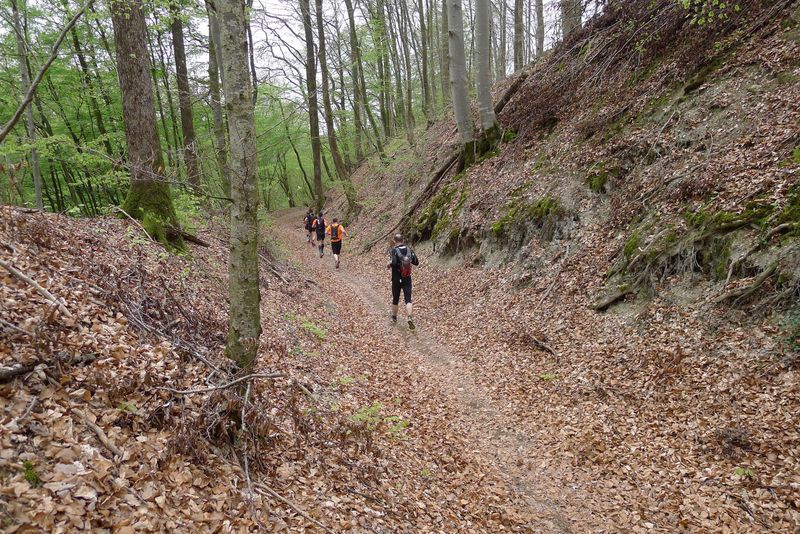 La Gorge aux Couleuvres