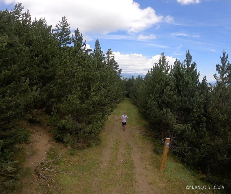 Petit recorregut pel bosc