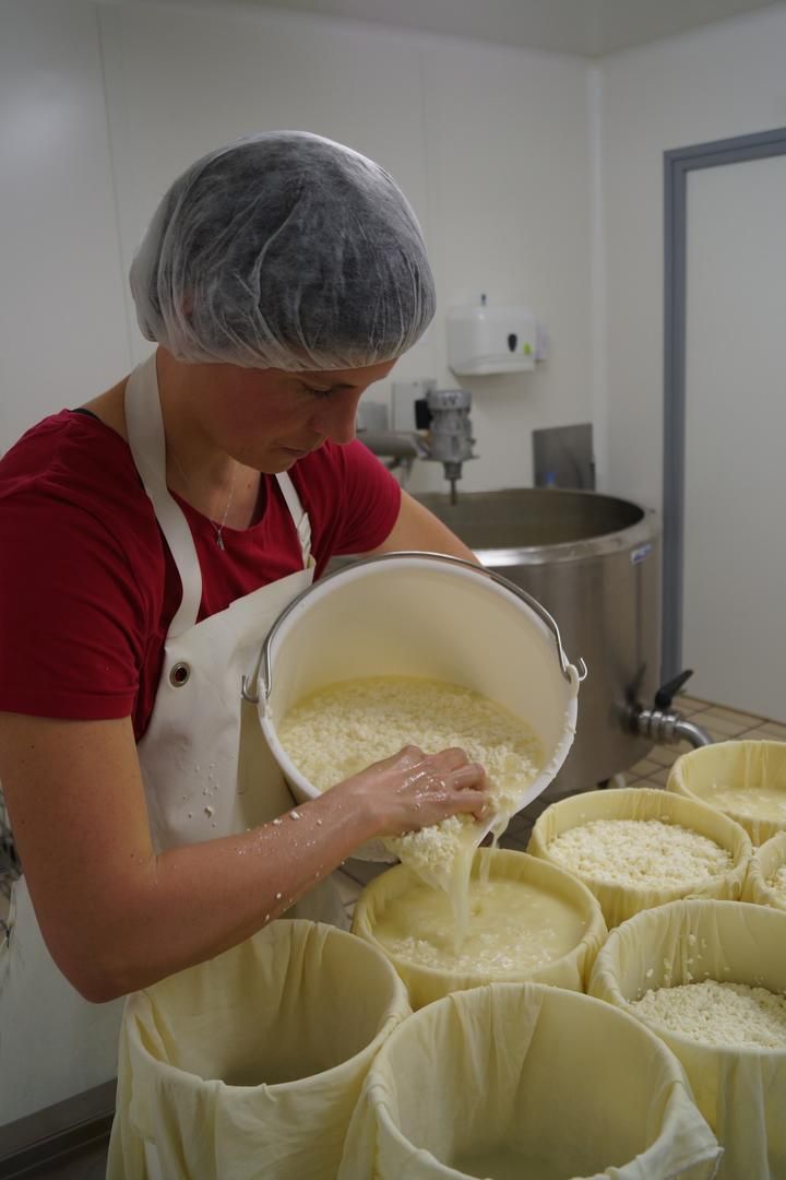 LA GENTIANE DES PYRENEES - FROMAGE - DORRES