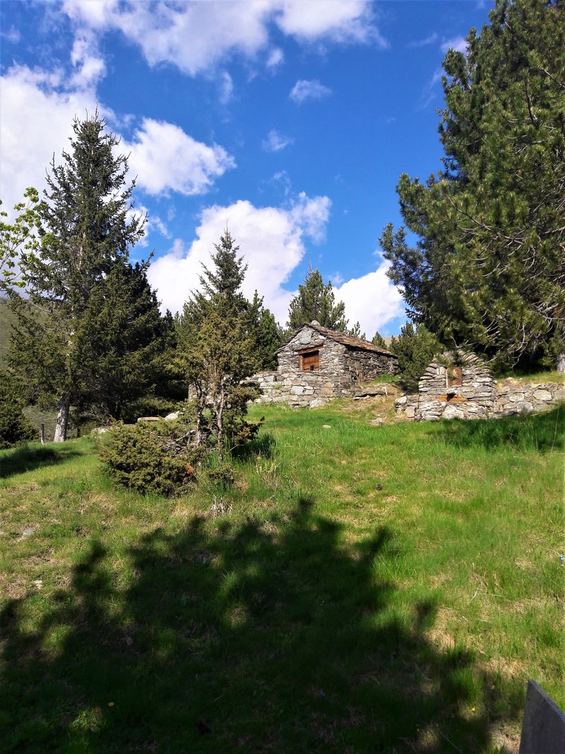 Camí de Sant Bernabé