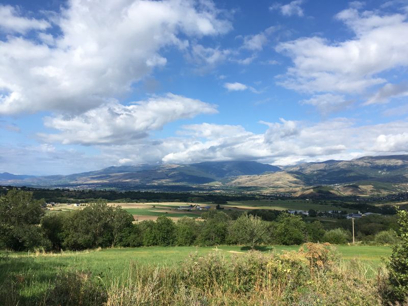 La Piste Forestière