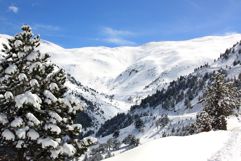 Snow Trail - Le tour de Cotzé