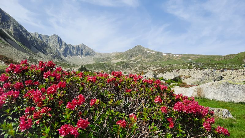photosFeed-https://www.onpiste.com/media/uploads/destinations/198/eda24131-a62a-4d6c-9ec5-43cd66ba108b