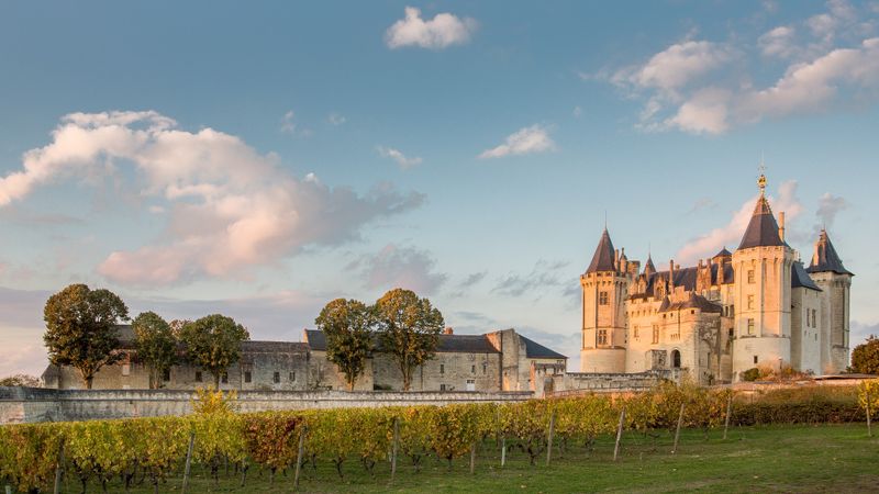 Boucle Trail de Saumur
