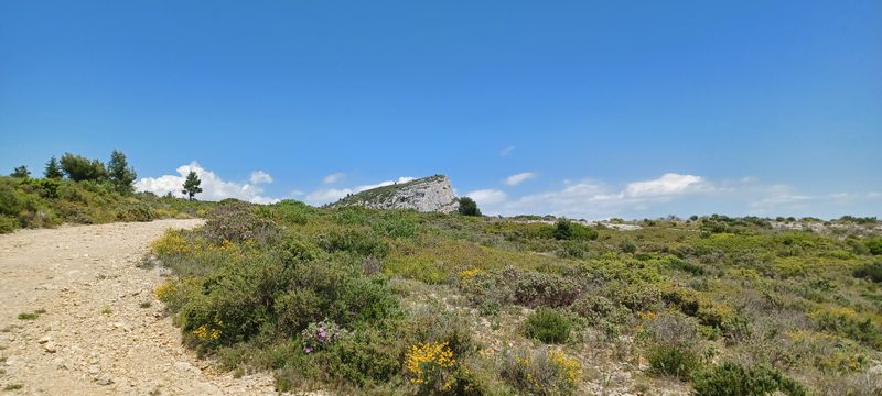 Trail sur Garlaban