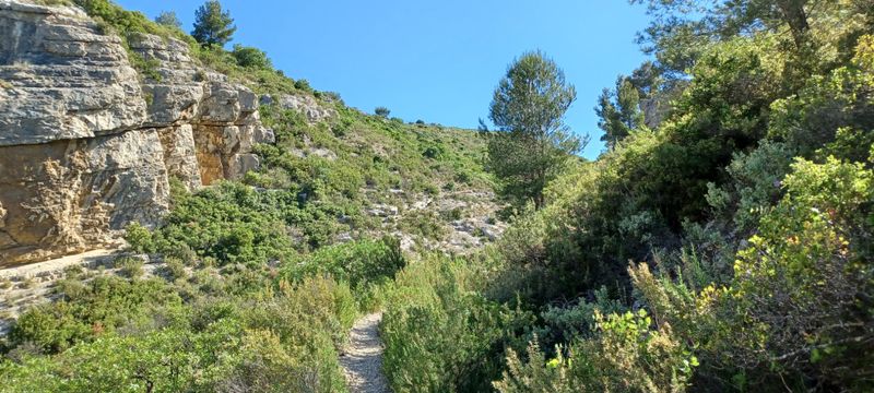 Trail sous le Mont Julien
