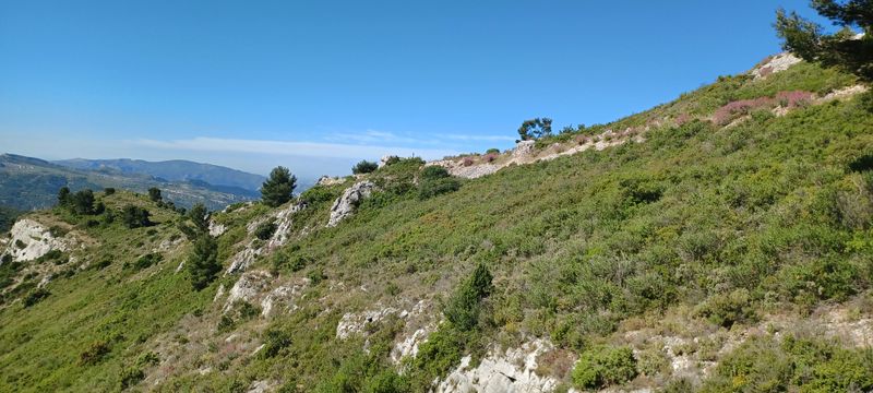 A fond les Vallons