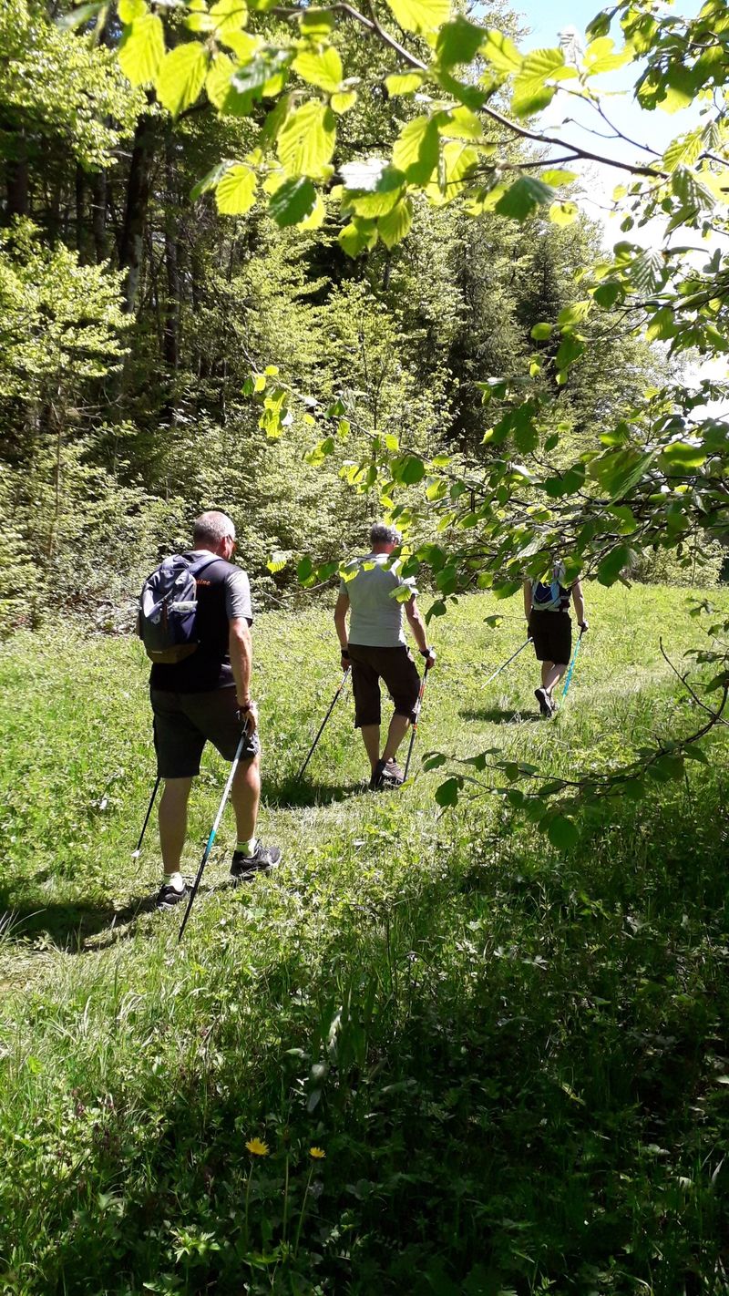 La boucle d’initiation du Tour des marais