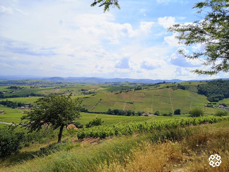 Fleurie Big Loop