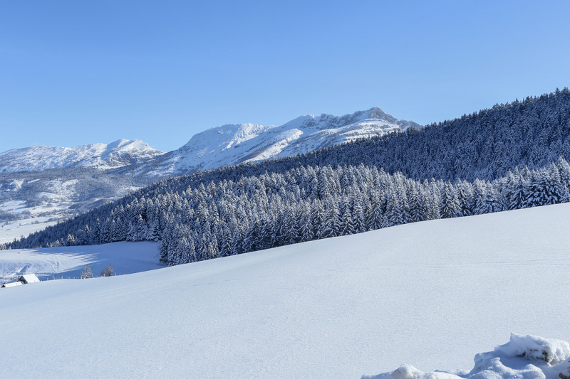 Snow trail - Col du Liorin