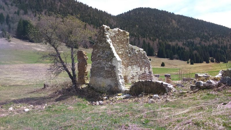 Bois Barbu, Herbouilly
