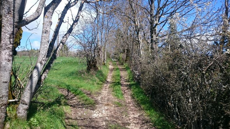 Col de la Croix Chabaud