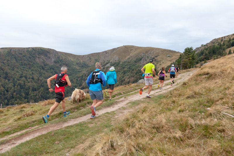 photosFeed-https://www.onpiste.com/media/uploads/destinations/32/2947.jpg