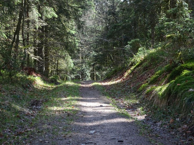 Tour des Pistes