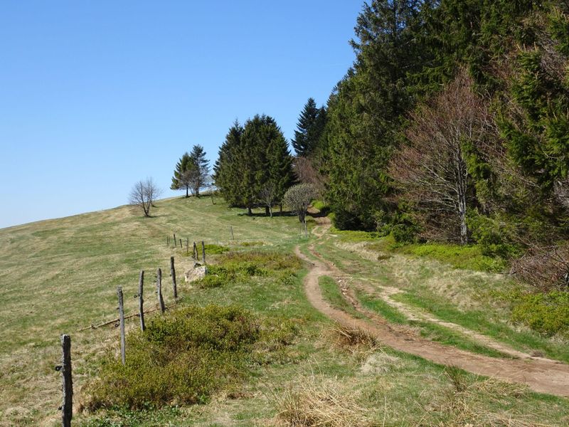 La Roche des Bioqués