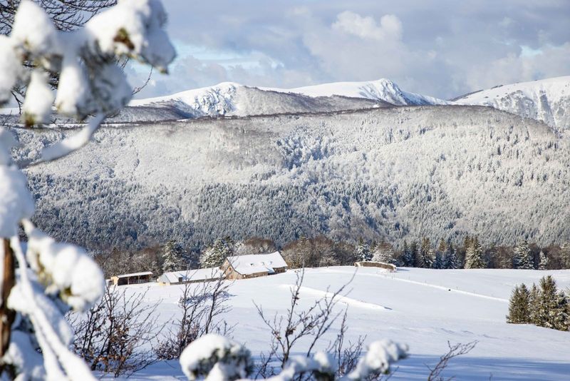 A travers les hautes chaumes - Schnepfenried