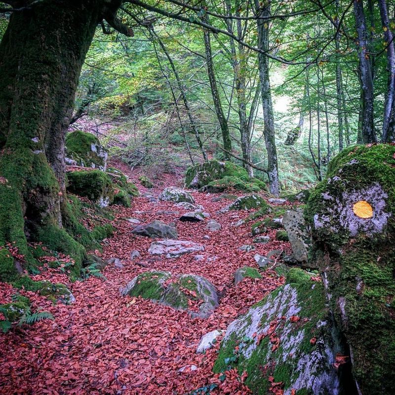 Zegama-Aizkorri maraton