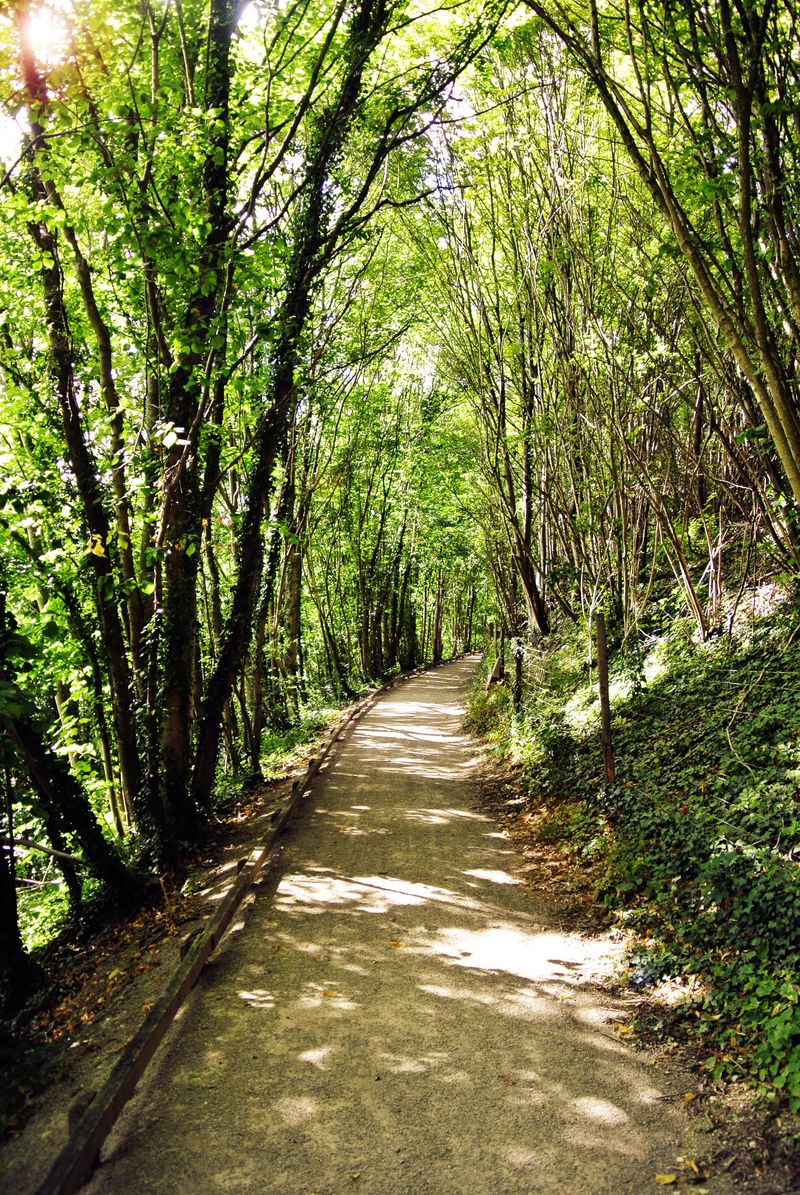 La boucle du sentier