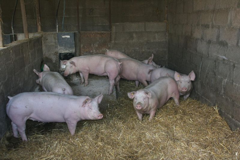 La Ferme des Peupliers