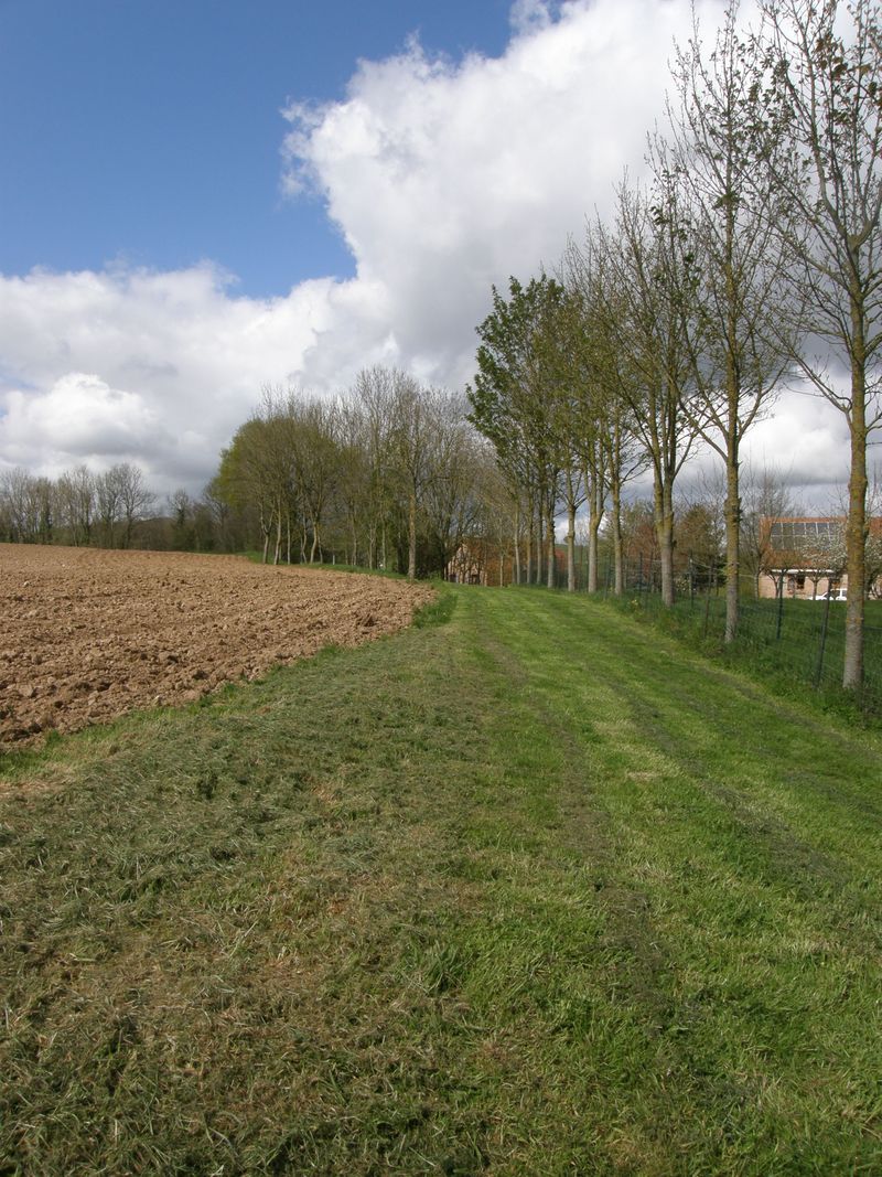 Stade Municipal Seninghem