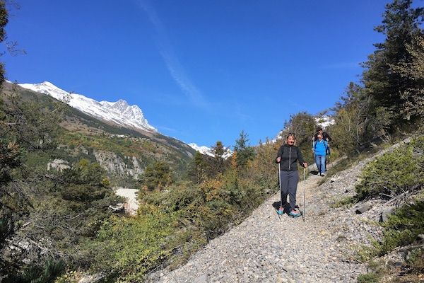 Yoga & Nordic Walking course in the Ecrins National Park